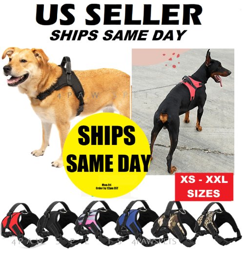 Control Vest for Dogs