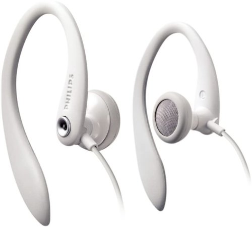 FlexTune Earhook Headphones