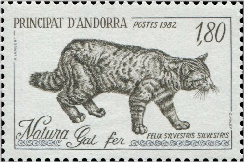 Wild Cat Felix Sylvestris Fauna Stamp