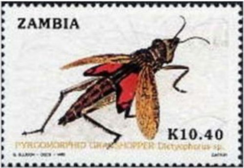 Zambian Grasshopper Pyromorphid Stamp