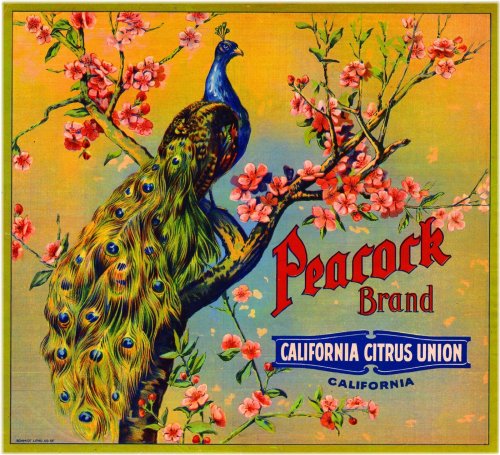 Riverside Peacock Orange Citrus Label