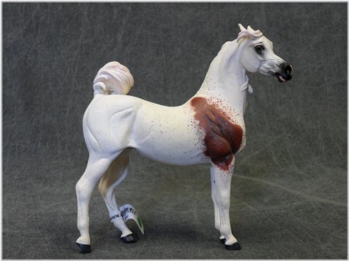 Bloody Shoulder Arabian Mare Model Horse by Horraw Studios