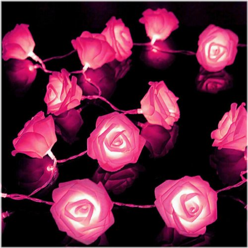 Romantic Rose Glow Fairy Lights