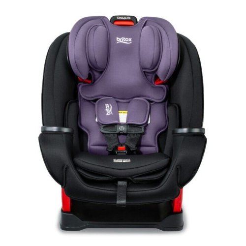 AdaptaRide Convertible Car Seat