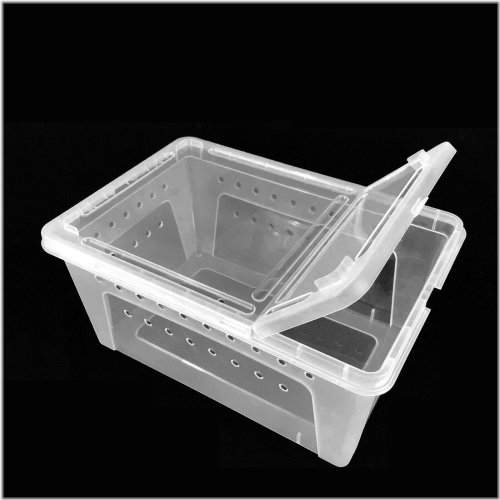 ClearCritter Carrier - Small Enclosure for Reptile Breeders and Bug Collectors