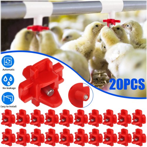 Feathered Friends Watering System