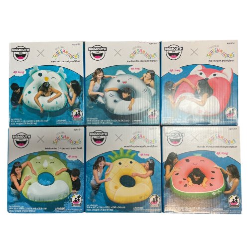 Squishy Ring Float with Cupholder