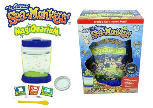 Enchanted Sea Monkey Habitat