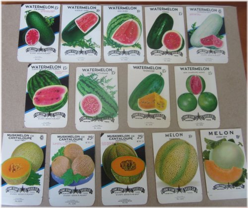 Melon Seed Packet Collection