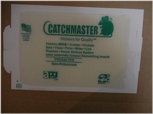 Peanut Butter Glue Traps by Catchmaster