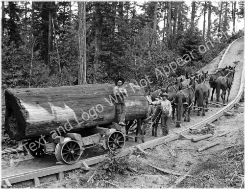 Vintage Reprint: 1902 Horse Logging Wagon on Railway, CA