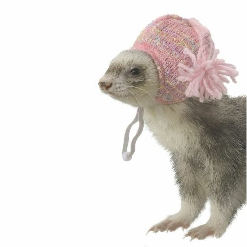 Ferret Winter Cap by Marshall Pet - Pink Knit Headwear for Keeping Your Pet Warm and Stylish