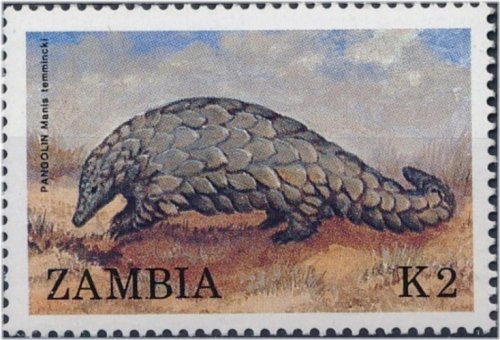 Zambia Ground Pangolin Stamp