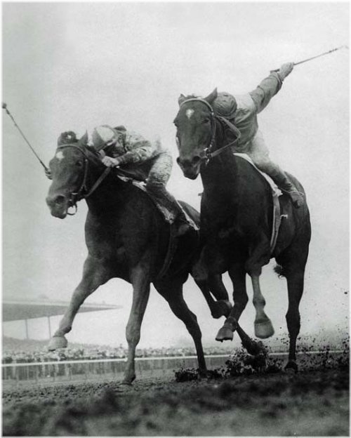 Legendary Racehorse Duel - Bold Ruler vs Gallant Man Photo Print