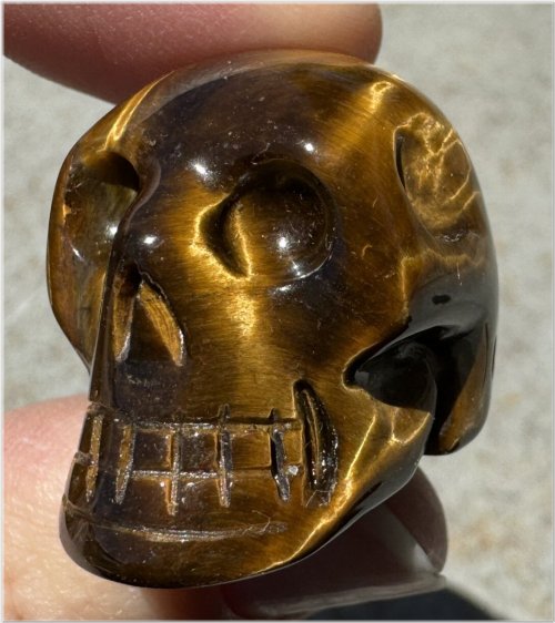 Golden Tiger Eye Insight Skull