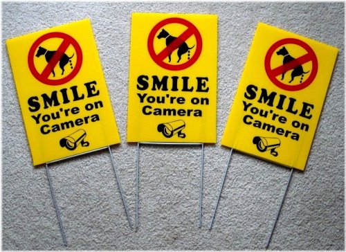 Pawsitive Reminder Sign with Camera Smile