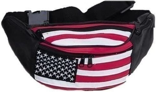 Traveler's Essential Money Carrier