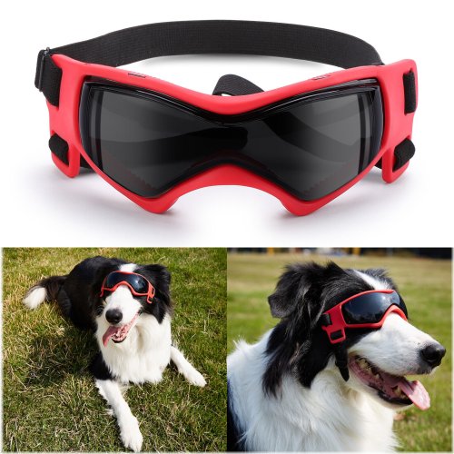 PawShield Eye Gear for Dogs - Adjustable, Windproof, UV & Snow Protection