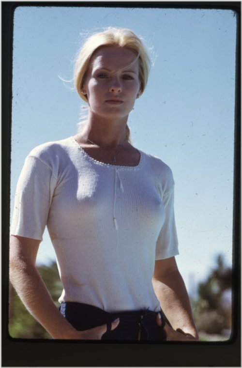 1970s Captured Moments Collection