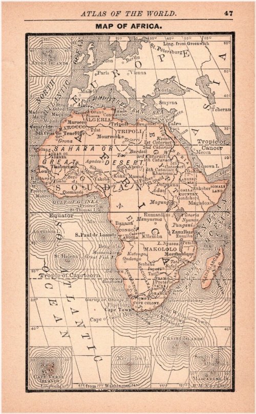 Africa in Miniature: 1888 Antique Map