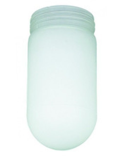 Frosted Globe Shade