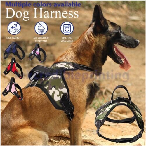 Reflective Control Dog Harness with Adjustable Fit for All Sizes
