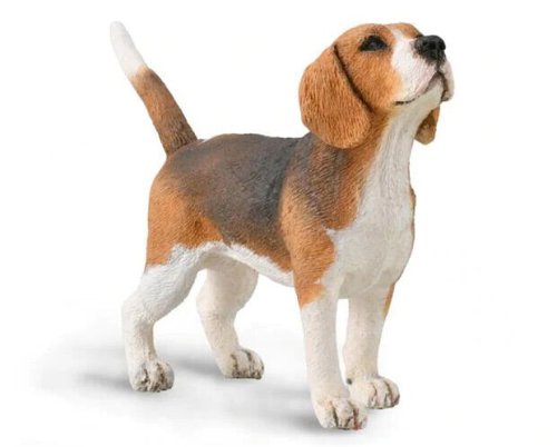 Beagle Figurine Replica by CollectA