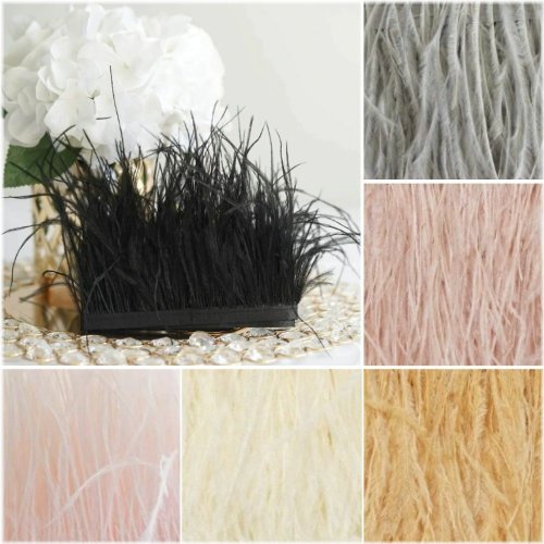 Ostrich Feather Ribbon Decoration