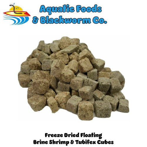 Brine and Worm Cubes for Fish