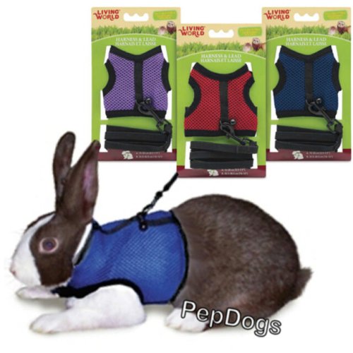 Mesh Harness and Lead Set for Small Animal Travel and Walk by Hagen Living World