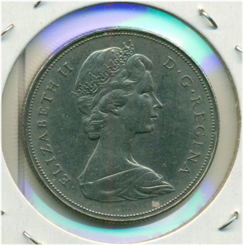 Northern Maple Dollar