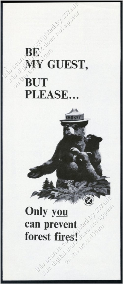 Forest Fire Prevention Vintage Print Ad