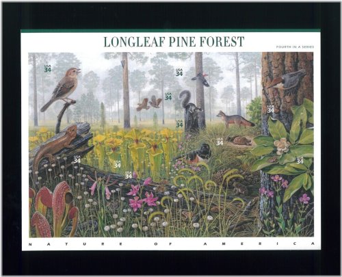 Longleaf Pine Forest Postage Stamp Sheet