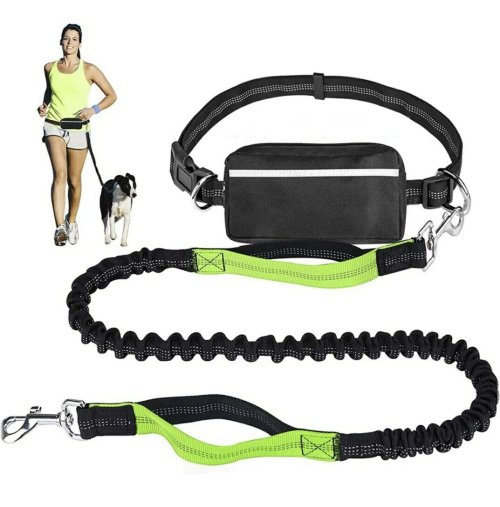 Active Paws Leash