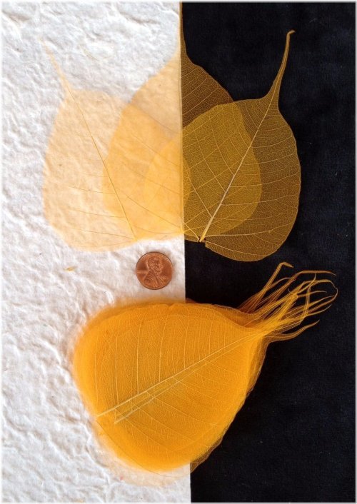 Golden Banyan Skeleton Leaf Bouquet