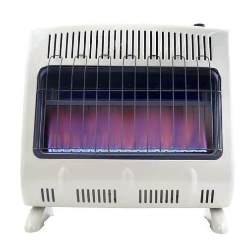 Blue Flame Propane Gas Heater