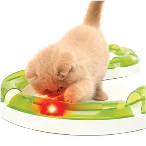 Fireball Feline Fun Toy