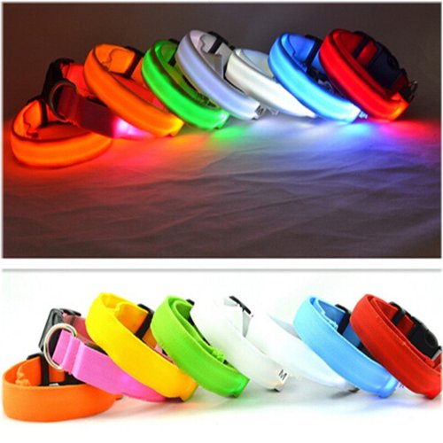 Light Up Your Pet's Night with Waterproof LED Collars at Wholesale Prices