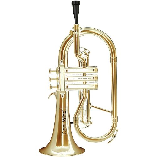 Metallic Bb Flugelhorn with Durable Plastic Body and Lacquer Finish