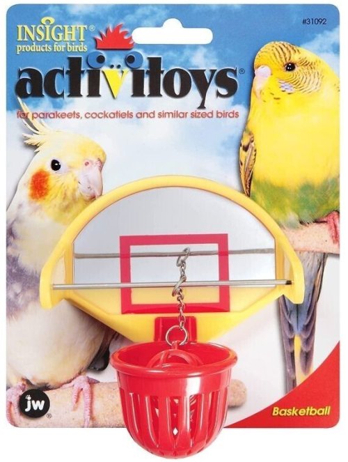 Avian Playtime Hoop