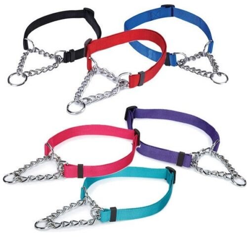 Guardian Chain Collar