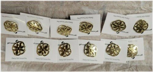 Daisy Scout Pin Collection - Set of 12