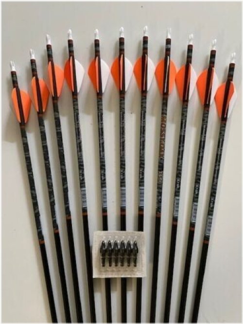 Carbon Elite Arrows