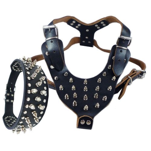 Spiked Studded Leather Canine Gear