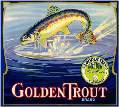 Golden Trout Orange Citrus Fruit Crate Label Art Print