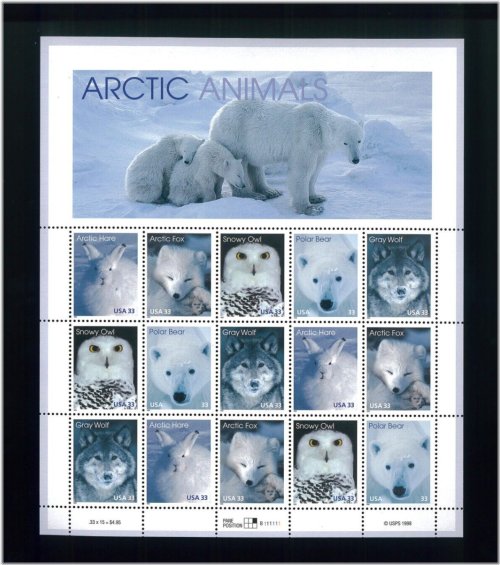 Arctic Animals Stamp Collection