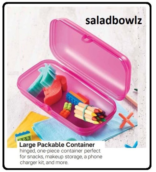 Oyster Hinged Pink Container