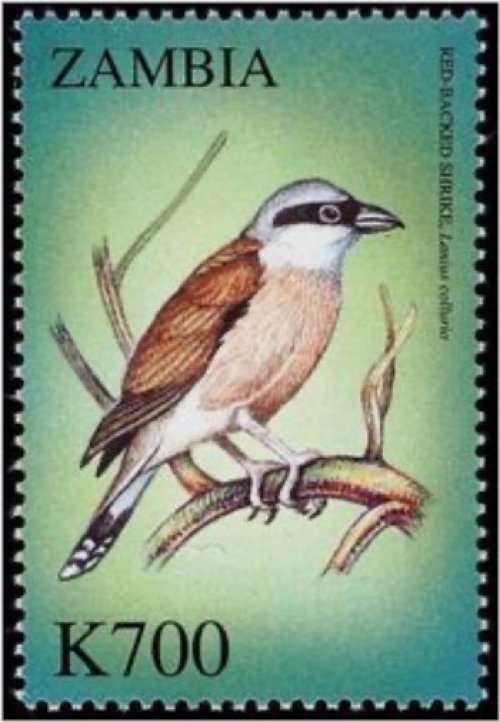 Zambian Avian Treasures Stamp