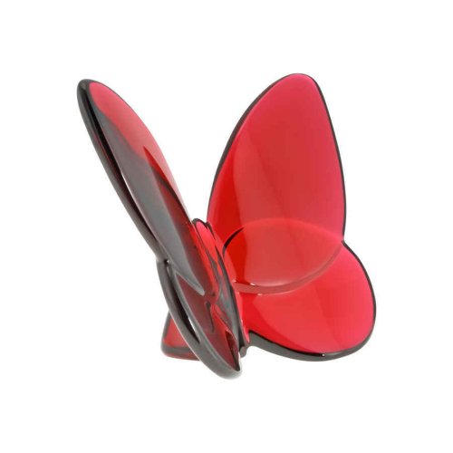 Crimson Fortune Winged Insect