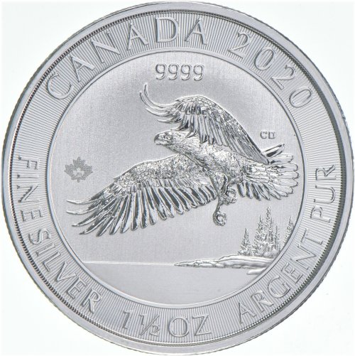 Bald Eagle Silver Dollars Collection